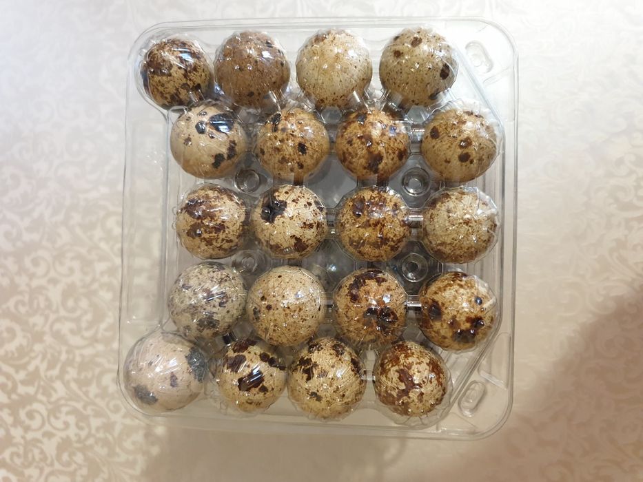 Яйцо перепелиное