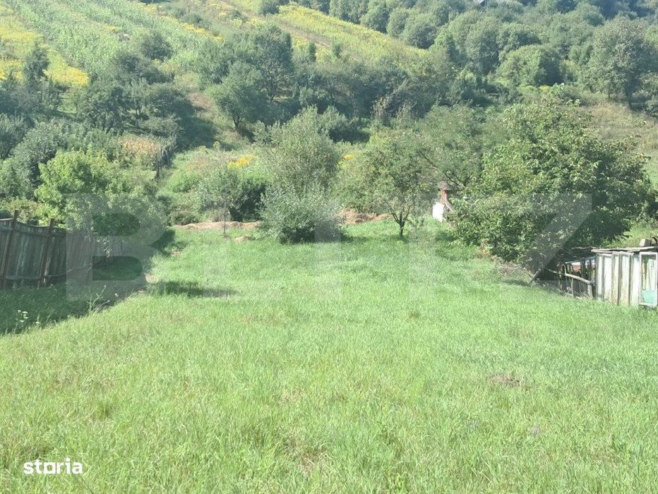 Teren intravilan