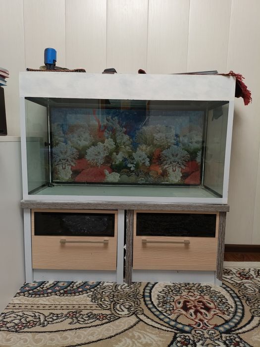 Аквариум с подставкой в комплекте 200л.