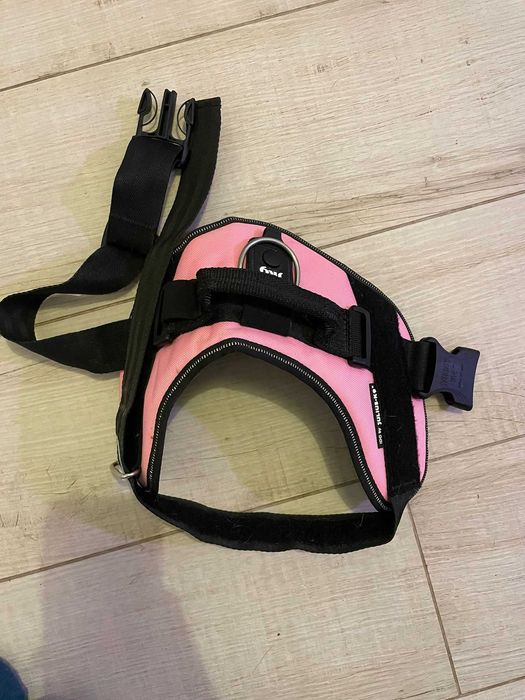 Ham caine Julius K9 marimea M