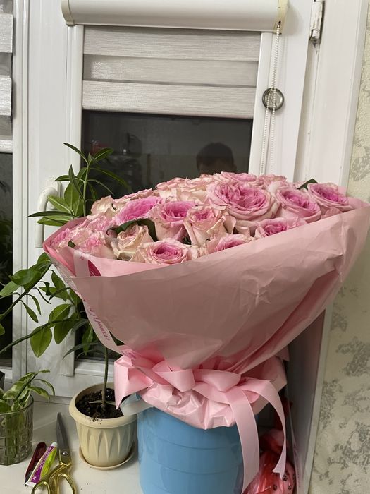 Гул 51 шт 5 кун турды