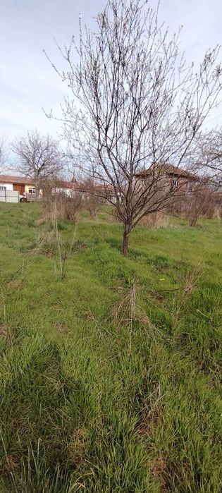 Парцел в с. Знаменосец. Област Стара Загора