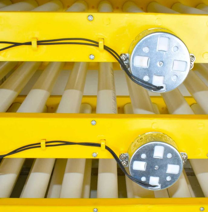 Професионален инкубатор MS-180 (DC 12V / AC 220V)