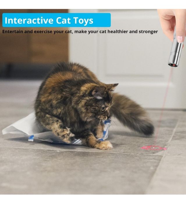 Jucarie Interactivă  Pisici si Caini, Laser Pointer Reîncărcabil USB