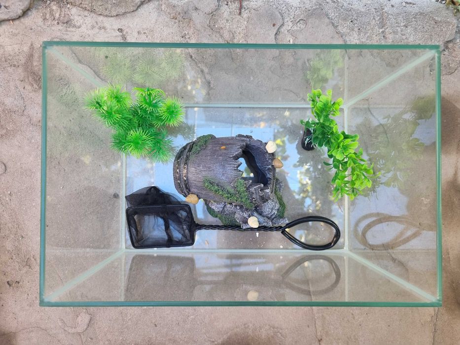 Acvariu pesti cu accesorii