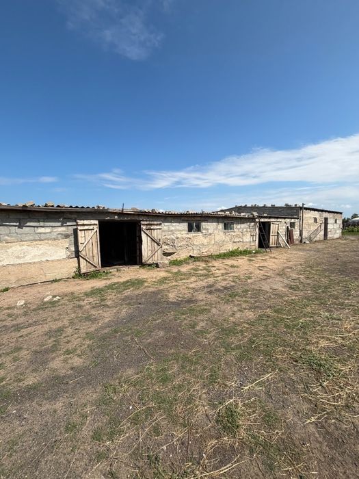 Продам Коестьяское хозяйство