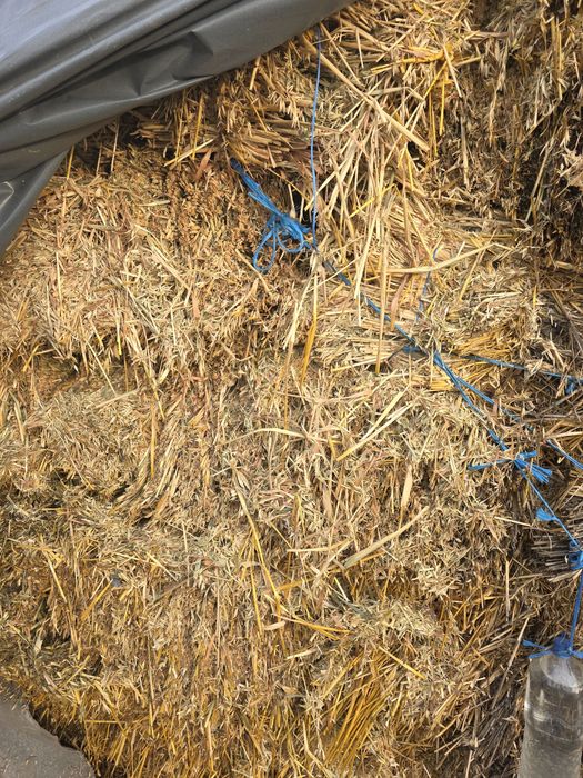 Baloți Fân / Ovăz