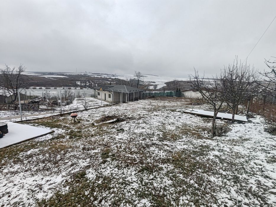 Teren Aroneanu, Dorobanț