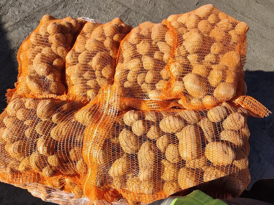 Cartofi de consum Paradiso