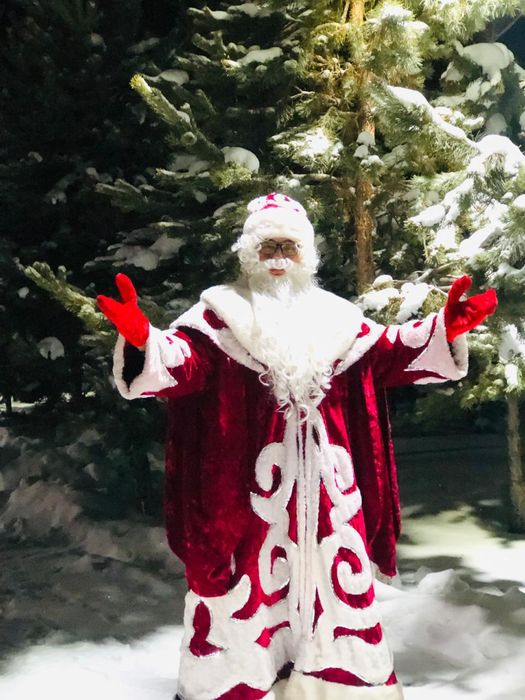 Дед мороз на дом !