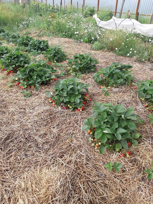Участок земли в городе