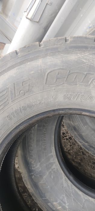 Шина Кордиант...