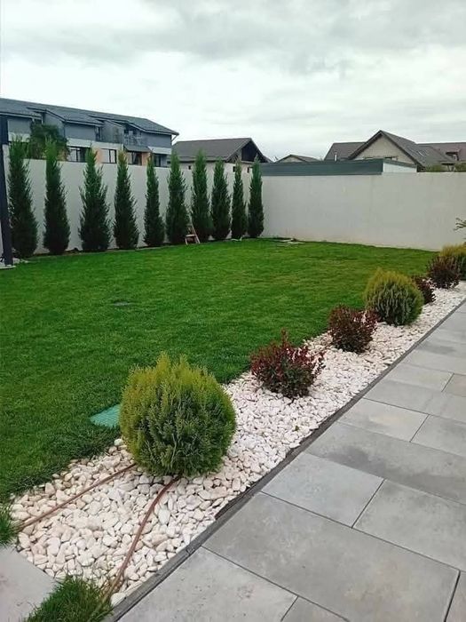 Gazon rulou Însămânțare Pregătirea terenului