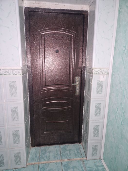 Железная дверь заводская