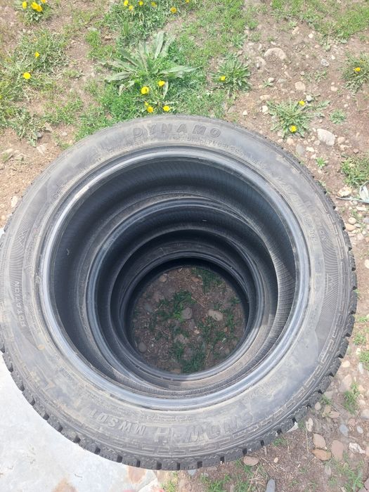 Шины зимние 225/55R19