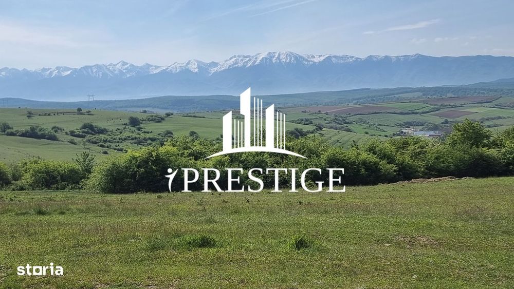 Teren  Extravilan 2000 Mp În Daia - Bavaria | Dealul 2 | Doar 15€/Mp