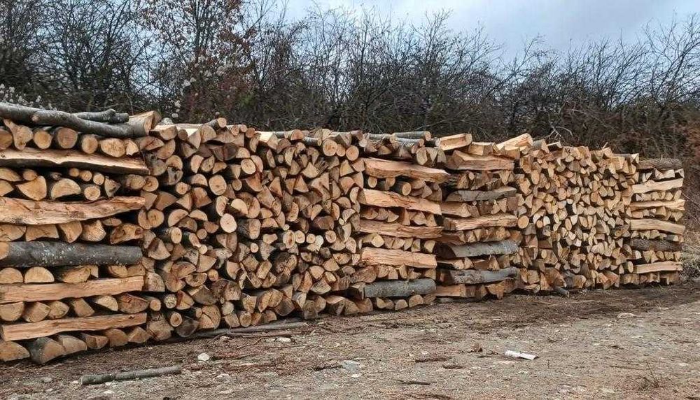 Vand lemn de foc, esenta tare, taiate si crapate la m