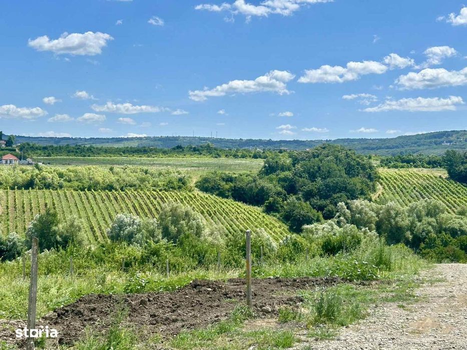 Rate la proprietar Teren intravilan 670 mp Vișan, Bârnova Iași