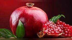 Данаксиз анор кўчатлари ишончли, сифатли ва хосилдор