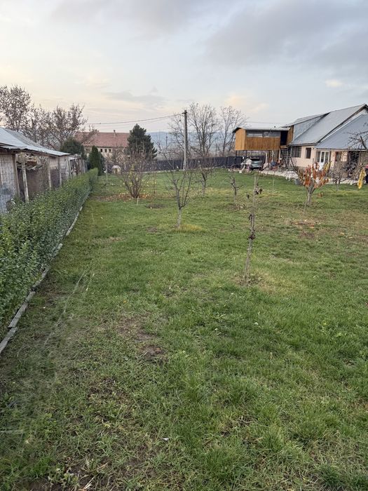 Casa teren intravilan