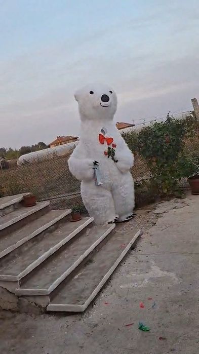 Мечок за тържества