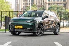 leapmotor c10 hybrid pad zakaz