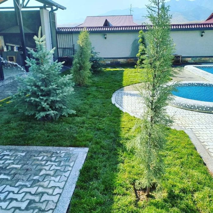 Готовый Рулонный газон по супер цене.