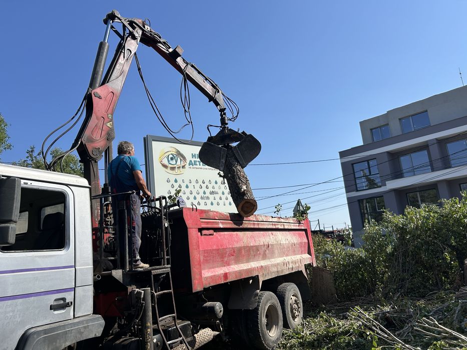 Рязане на опасни дървета и почистване на дворове