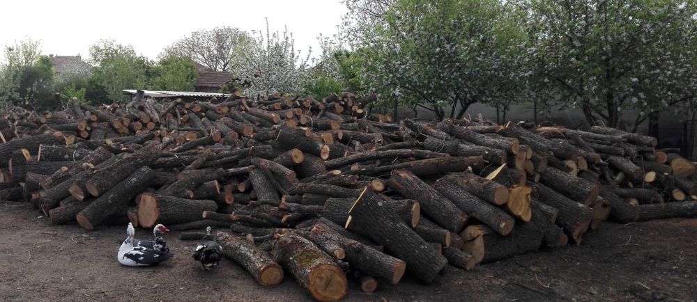 Продавам Дърва за огрев и подпалки.