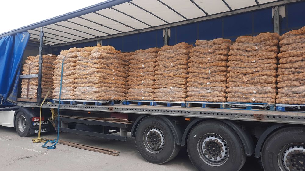 Vand Cartofi calibru 55+la sac 10kg si 25 kg