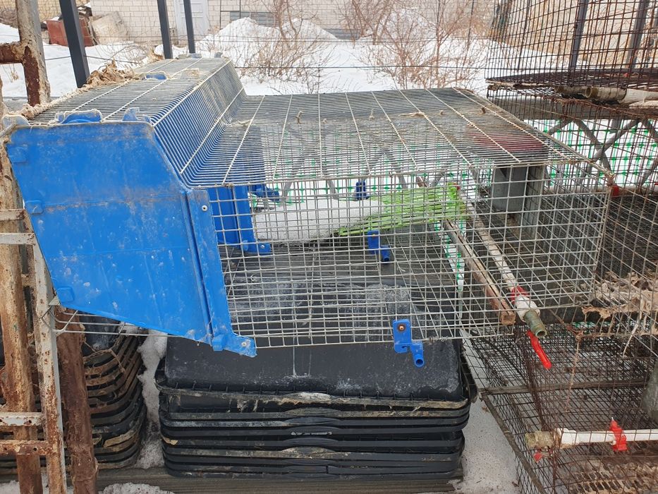 Клетки для кроликов