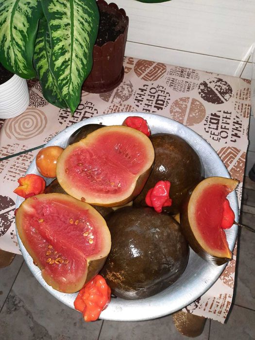 Pepeni murați și gogonele