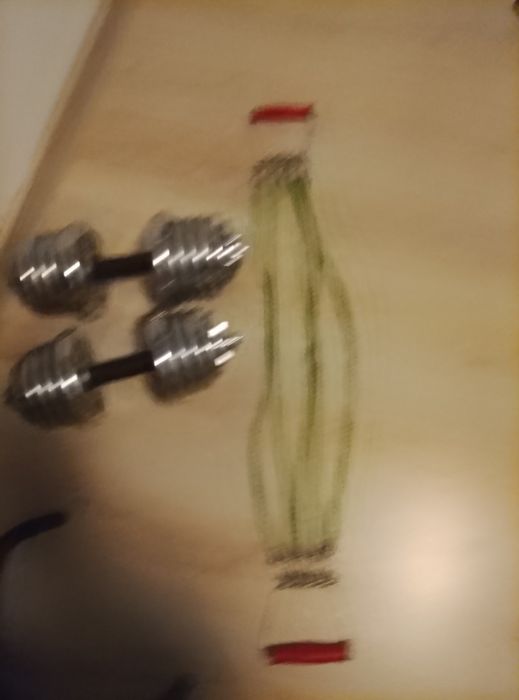 Gantere  29.7 kg +