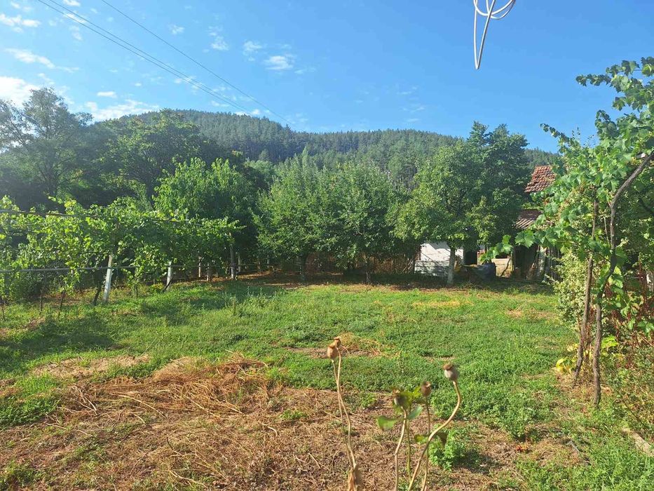 Продава се Къща в с. Драговищица, Област Кюстендил - 120 кв.м за 340 €/кв.м - Снимка #2