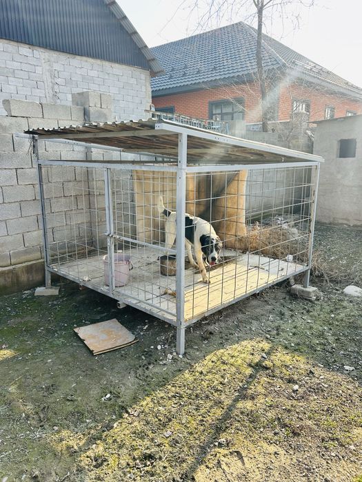 Вольер для собаки.