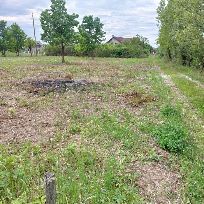 Două parcele teren 1000mp/975mp în Tăuții-Măgherăuș strada 6