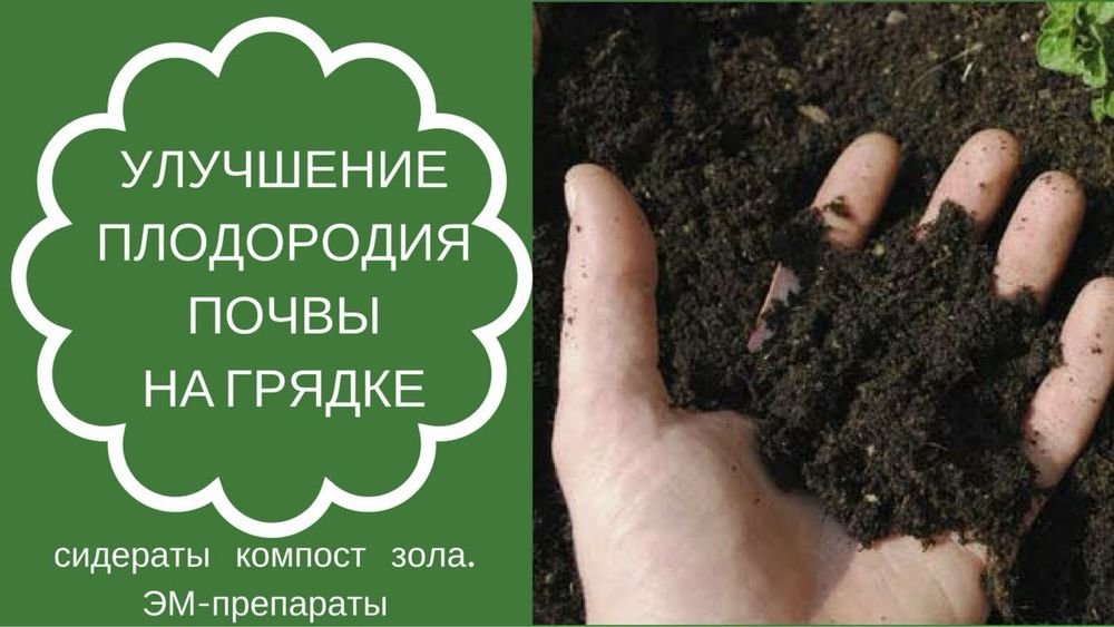 Биогомус Чернозем Оптом