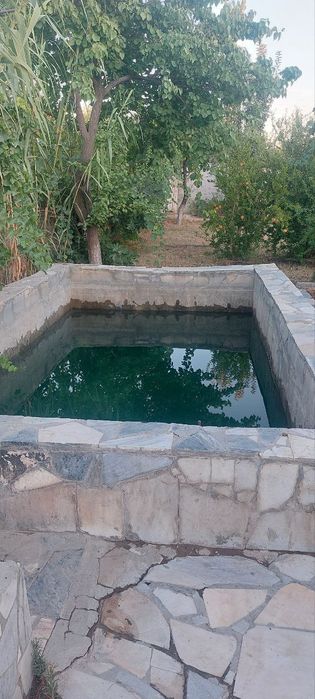 Дала ховли сотилади