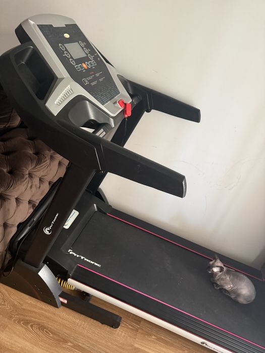 Vand banda de alergat