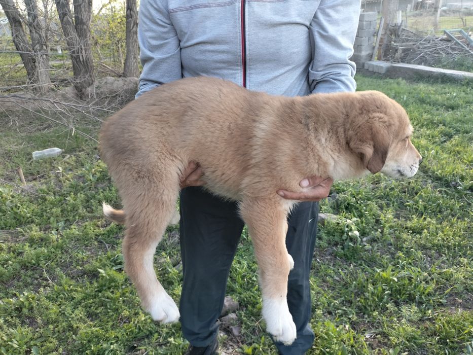 екуі сатылады сауда бар