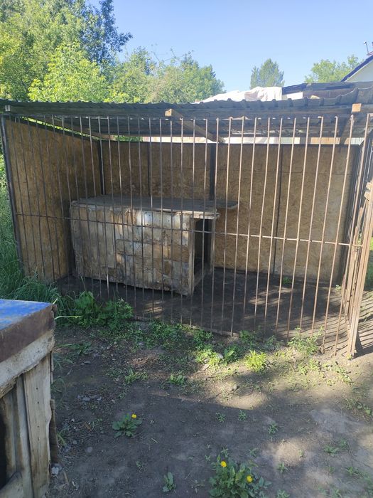 Продам вальер для большей сабаке