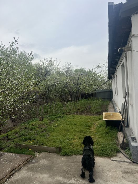 Сдам на длительный срок Дом