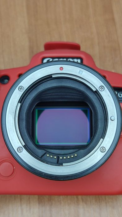 Canon EOS R6 + Canon ADAPTER  RF-EF