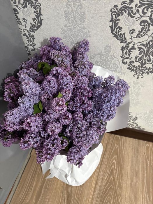 Продам красивый букет (сирень)