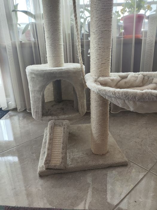 Котешка катерушка