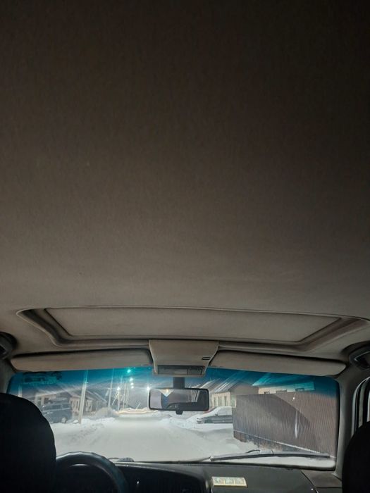 Продам живого пассата