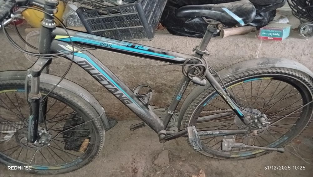 Velik Sotlad Mustang 5.6 Oy haydalgan Holati yaxw. Narx 600 kelwamzaaa