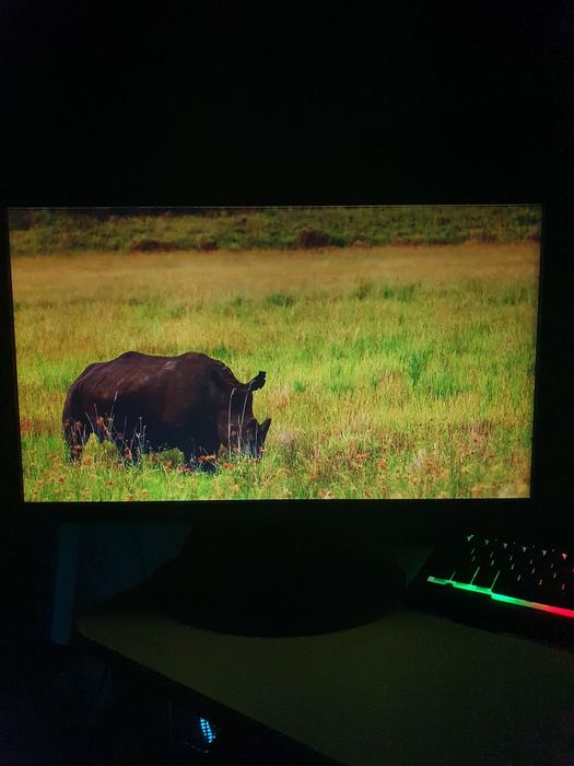 Monitor Samsung model S22A300B