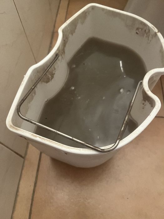 Екстрактно почистване и пране