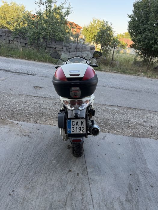 Malaguti password 250cc